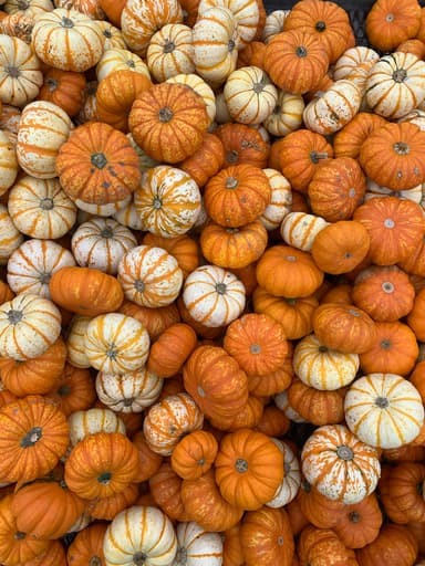 category image