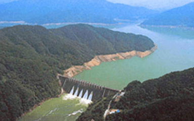 category image
