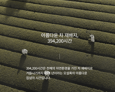 thumb-녹차