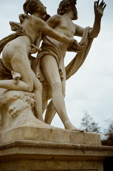 category image