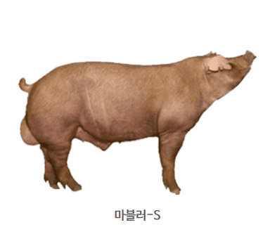 category image