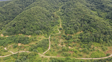 category image