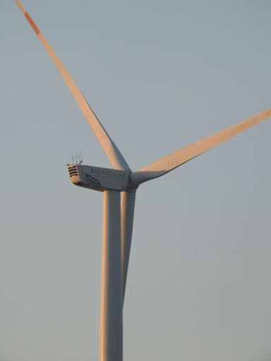 category image